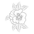 pansy flower embroidery, pansy flower clipart, realistic pansy drawing, traditional pansy tattoo, pansy lineart