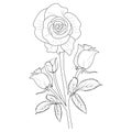 Pansy flower line art, vector illustration, hand-drawn pencil sketch, coloring book, and page, outline stencil rose tattoo Royalty Free Stock Photo