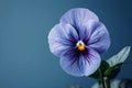 Pansy flower in shades of blue with an elegant side bud on a blue background.