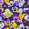 Pansy Flowers Background