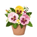 Pansy flowers in a pot. Vector illustration. Royalty Free Stock Photo