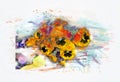 Pansy Flowers, Springtime Plants - Watercolor Illustration - Abstract Modern Art - Yellow Blue White Royalty Free Stock Photo