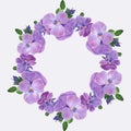 Pansy flowers, violets - buds and leaves on a white background. Collage of flowers and leaves. Use printed materials, signs,