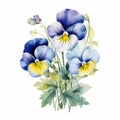Colorful Watercolor Pansy Arrangement Clipart On White Background Royalty Free Stock Photo
