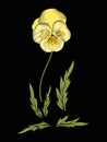 Pansy, violets flower for embroidery in botanical illustration s