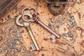 Panta rhei concept: Antique pocket watch, vintage keys and pile of old books on natural cork Royalty Free Stock Photo