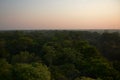 Pantanal forest at dawn Royalty Free Stock Photo