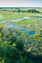 Pantanal wetland, Brazil
