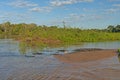 Pantanal Wetlands Panorama Royalty Free Stock Photo