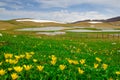 Pantani di Accumoli with flowers Royalty Free Stock Photo