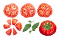 Pantano tomatoes whole, cut, top view