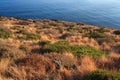 Pantelleria, Sicily Royalty Free Stock Photo