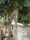 Pantheon cemetery in the center of Tel Aviv