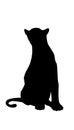 Panther adult black silhouette sitting