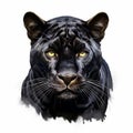 Stunning Panther Close-up Illustration In 8k Resolution On White Background