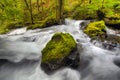 Panther Creek Falls Royalty Free Stock Photo