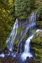 Panther Creek Falls in Skamania County, Washington State