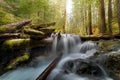 Panther Creek in Gifford Pinchot National Forest Royalty Free Stock Photo