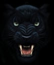 Panther face painting Royalty Free Stock Photo