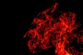 Panther on fire on a black background