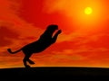 Panther jumping to the sun