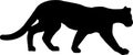 Panther leopard gepard jungle vector Royalty Free Stock Photo