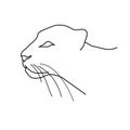 Panther or leopard`s head. Line art doodle sketch. Black outline on white background. Vector illustration.