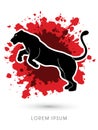 Panther or Lioness jumping