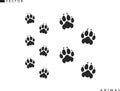Panther paw print. Isolated paw prints on white background