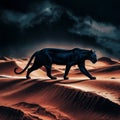 black panther walking style Royalty Free Stock Photo