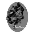 Panther`s profile