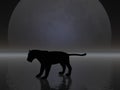 Panther Silhouette Royalty Free Stock Photo