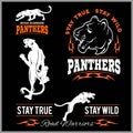 Panther Sport t-shirt graphics, Vintage Apparel typography, Artwork stamp print design, wild big cat head.