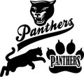Panther Team Mascot/eps Royalty Free Stock Photo
