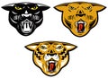 Panther,tiger and puma heads