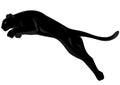 Panther vector Royalty Free Stock Photo