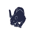 Panther vector illustration design. Panther logo design Template Royalty Free Stock Photo