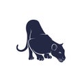 Panther vector illustration design. Panther logo design Template Royalty Free Stock Photo