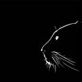 Panther walking from dark. vector Logo design, on black background image Royalty Free Stock Photo