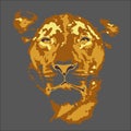 Tiger walking from dark. vector Logo design, on black background image Royalty Free Stock Photo