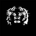 Tiger walking from dark. vector Logo design, on black background image Royalty Free Stock Photo