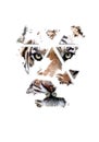 The tiger is watching you, fine art Royalty Free Stock Photo