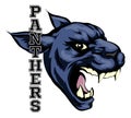 Panthers Mascot