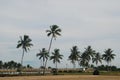 Panti Angsana, Banjarmasin, South Kalimantan