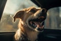 Panting dog locked inside a car in summer. Generative AI illustration Royalty Free Stock Photo