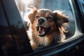 Panting dog locked inside a car in summer. Generative AI Royalty Free Stock Photo