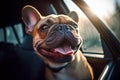 Panting French Bulldog dog locked inside a car in summer. Generative AI Royalty Free Stock Photo