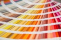 Panton, multi-colored strips of paper, standard Royalty Free Stock Photo