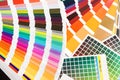 Pantone, cmyk, ral color swatches Royalty Free Stock Photo
