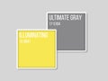 Pantone color of the year 2021. Main trendy colors illuminating and ultimate gray